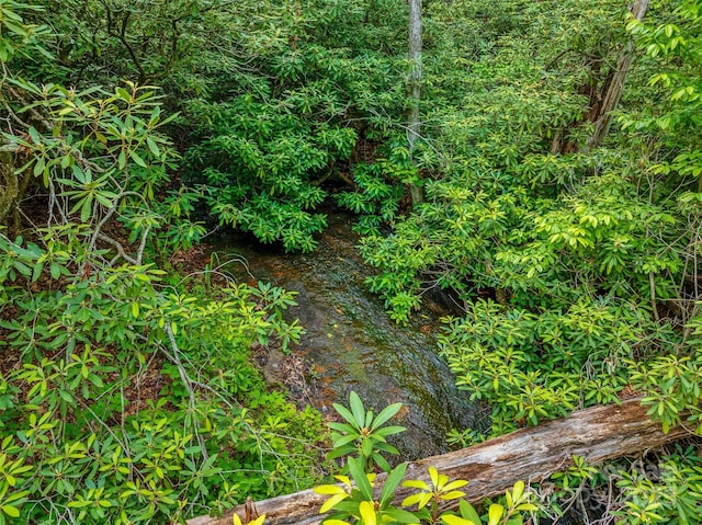 00 Locust Grove Rd Unit 2, Hendersonville, NC 28792
