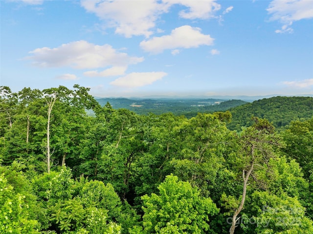 00 Locust Grove Rd Unit 2, Hendersonville, NC 28792