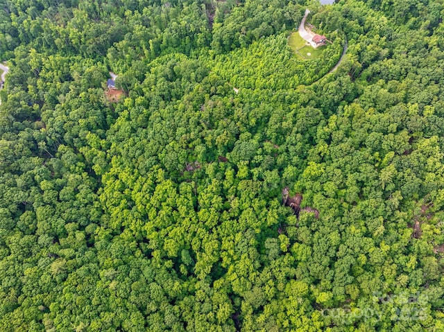00 Locust Grove Rd Unit 2, Hendersonville, NC 28792