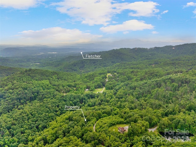 00 Locust Grove Rd Unit 2, Hendersonville, NC 28792