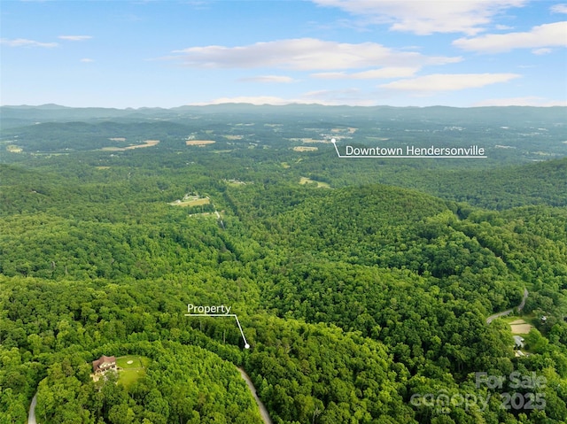 00 Locust Grove Rd Unit 2, Hendersonville, NC 28792