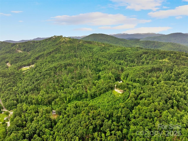 00 Locust Grove Rd Unit 2, Hendersonville, NC 28792