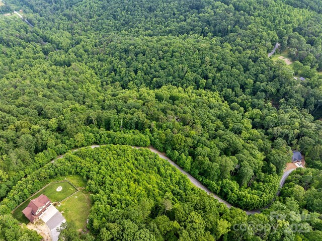 00 Locust Grove Rd Unit 2, Hendersonville, NC 28792