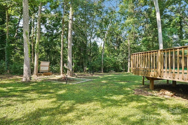 116 Scottie Ct, Rock Hill, SC 29730 - photo 43