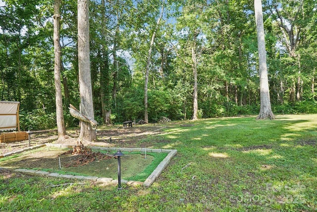 116 Scottie Ct, Rock Hill, SC 29730 - photo 44