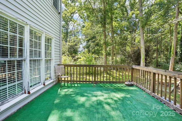 116 Scottie Ct, Rock Hill, SC 29730 - photo 48