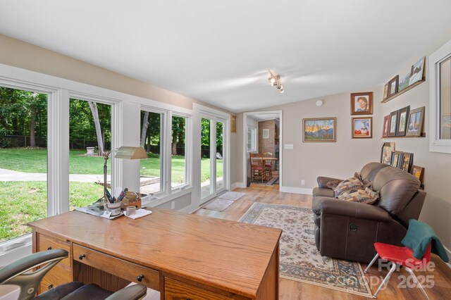 4 Sourwood Ln E, Asheville, NC 28805 - living room featuring lofted ceiling, plenty of natural light, and light wood-style floors