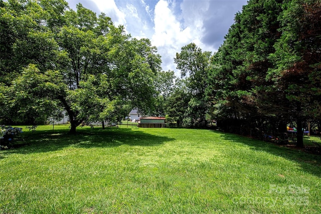 1216 Manchester Ln, Charlotte, NC 28227 - view of grassy yard