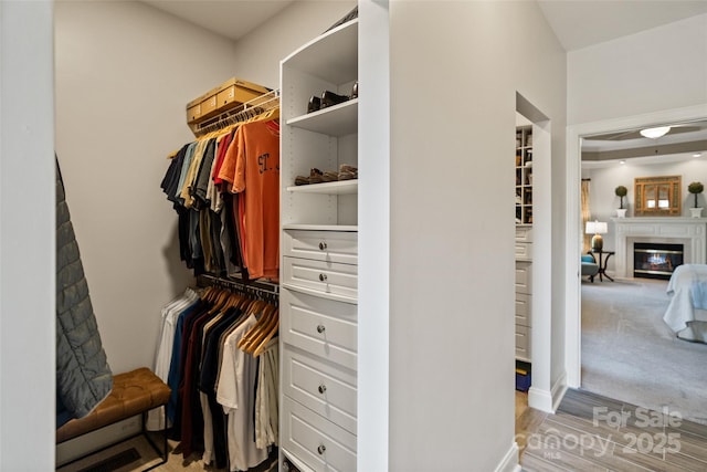 9027 Kirkley Ct, Charlotte, NC 28277 - spacious closet featuring a glass covered fireplace and light wood-style floors