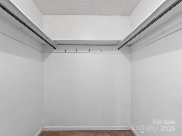 244 Carl Fox Rd, Burnsville, NC 28714 - spacious closet with carpet