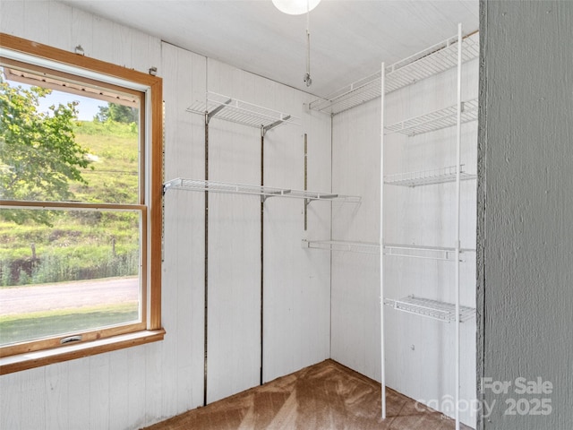 244 Carl Fox Rd, Burnsville, NC 28714 - spacious closet with carpet flooring