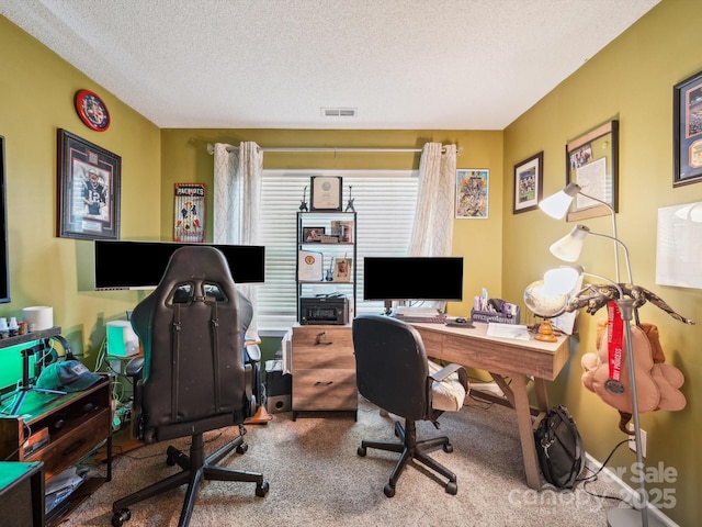 1252 Winding Path Rd, Lake Wylie, SC 29710 - carpeted office space with a textured ceiling