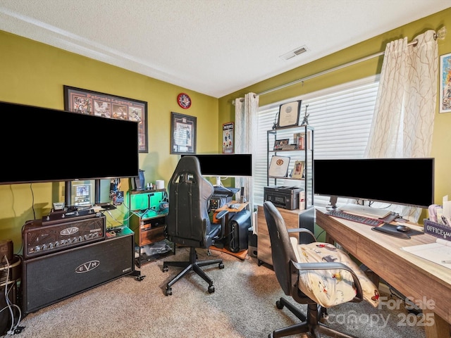 1252 Winding Path Rd, Lake Wylie, SC 29710 - carpeted office featuring a textured ceiling