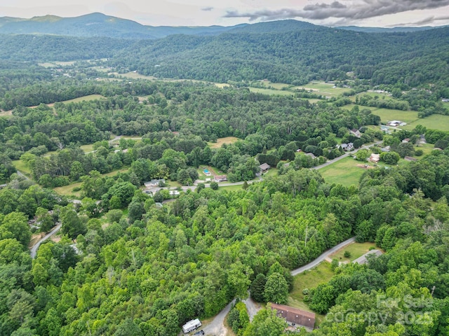 TBD Whitener Rd Unit Parcel 3, Penrose, NC 28766 - photo 1