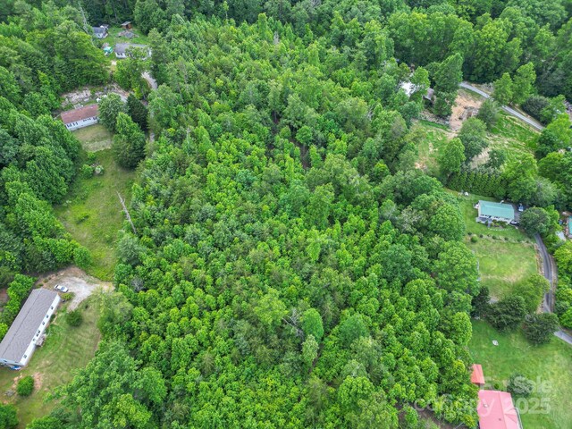 TBD Whitener Rd Unit Parcel 3, Penrose, NC 28766 - photo 3