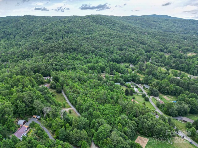 TBD Whitener Rd Unit Parcel 3, Penrose, NC 28766 - photo 6
