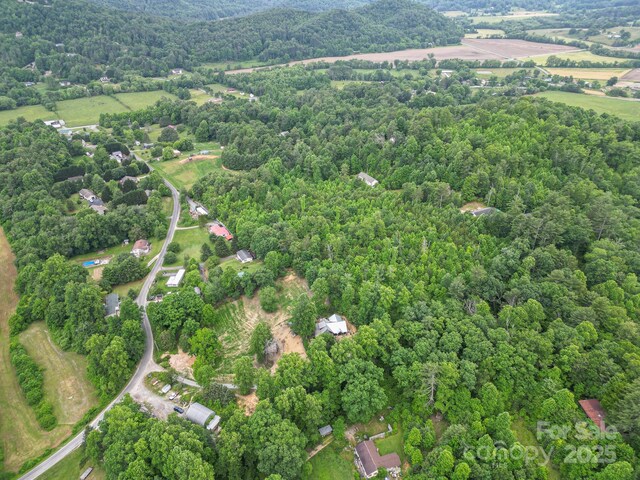 TBD Whitener Rd Unit Parcel 3, Penrose, NC 28766 - photo 8