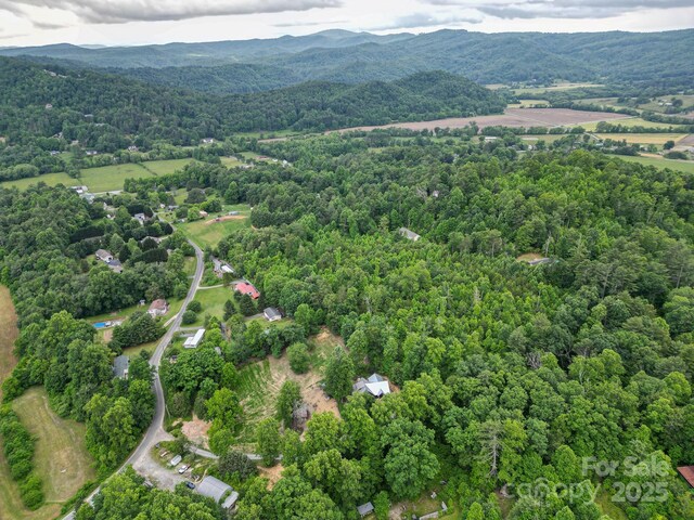 TBD Whitener Rd Unit Parcel 3, Penrose, NC 28766 - photo 9