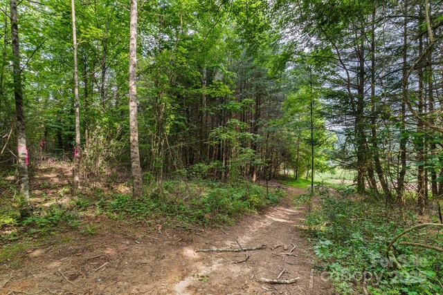 TBD Whitener Rd Unit Parcel 3, Penrose, NC 28766 - photo 10