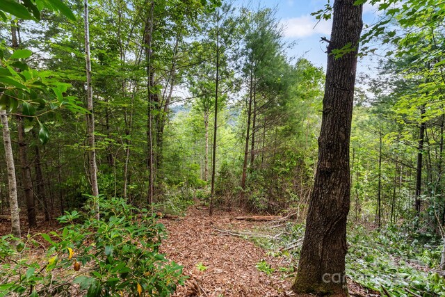 TBD Whitener Rd Unit Parcel 3, Penrose, NC 28766 - photo 12