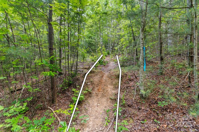TBD Whitener Rd Unit Parcel 3, Penrose, NC 28766 - photo 13
