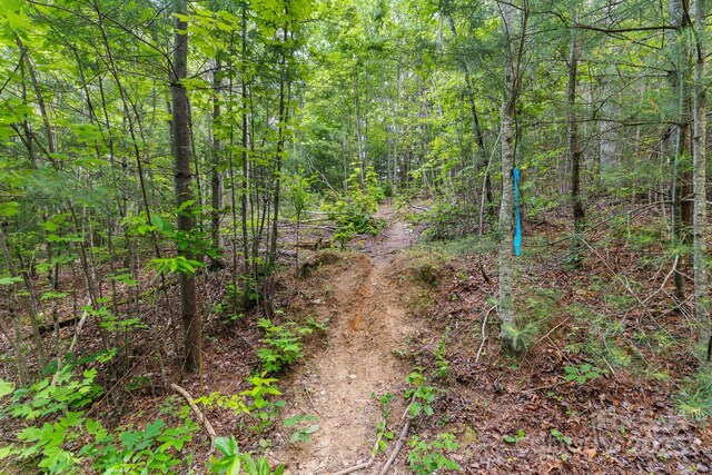 TBD Whitener Rd Unit Parcel 3, Penrose, NC 28766 - photo 14