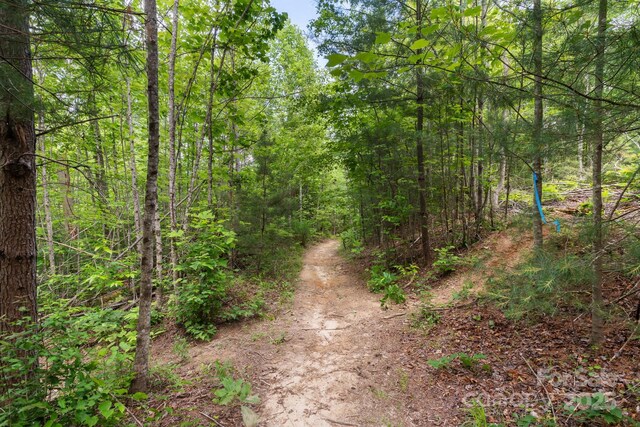 TBD Whitener Rd Unit Parcel 3, Penrose, NC 28766 - photo 15