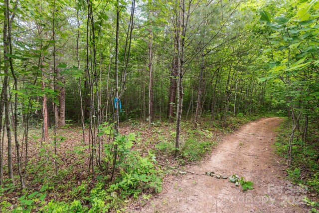 TBD Whitener Rd Unit Parcel 3, Penrose, NC 28766 - photo 16
