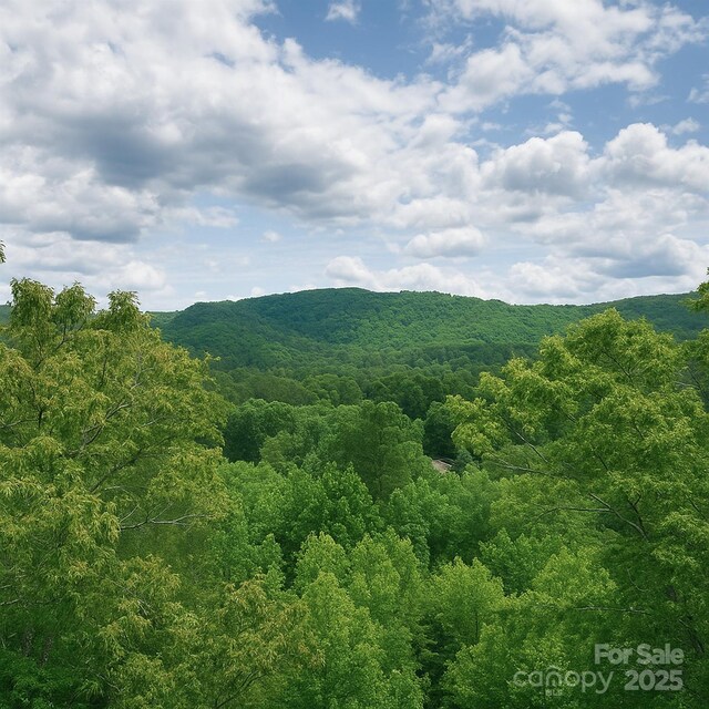 TBD Whitener Rd Unit Parcel 3, Penrose, NC 28766 - photo 17