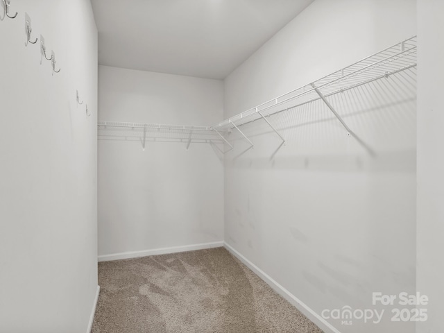 567 Big Sur Loop, Asheville, NC 28806 - walk in closet featuring carpet