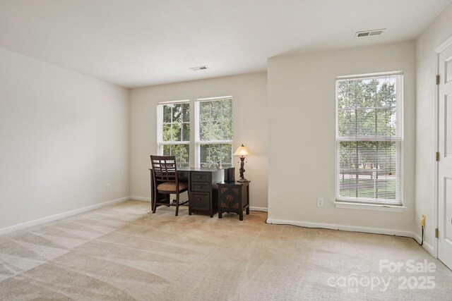 12342 Swan Wings Pl, Huntersville, NC 28078 - photo 20