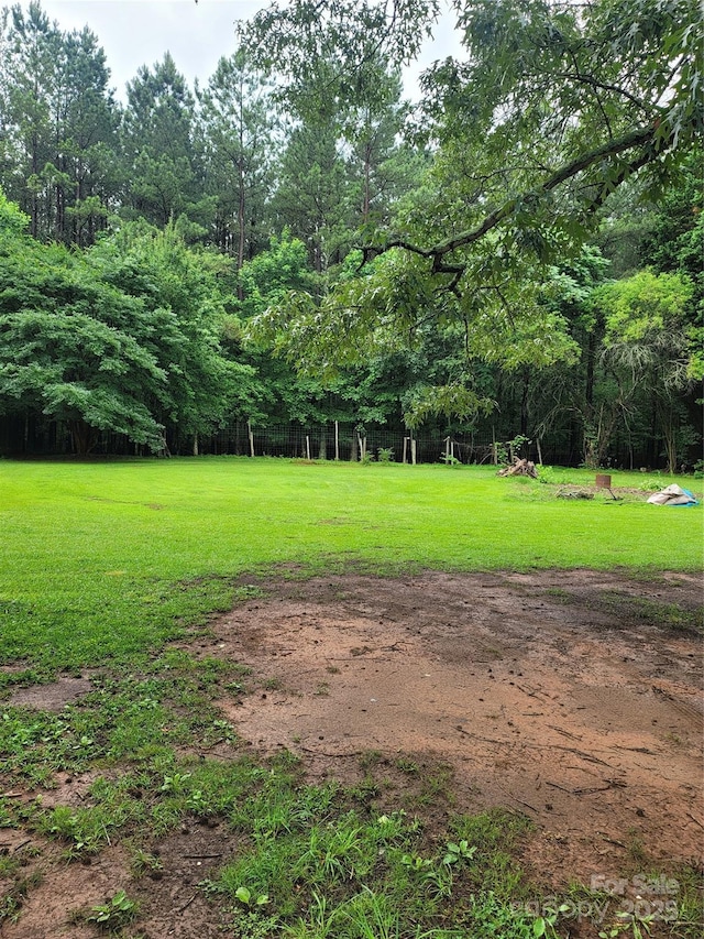 111 Crystal Creek Dr, China Grove, NC 28023 - view of green lawn