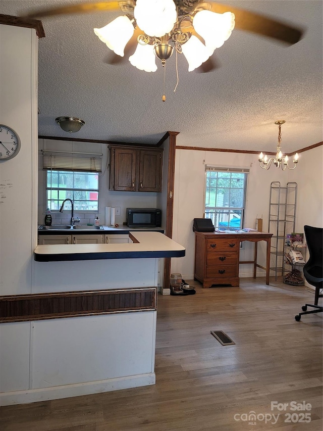 111 Crystal Creek Dr, China Grove, NC 28023 - kitchen featuring black microwave, healthy amount of natural light, light wood-style flooring, a textured ceiling, and crown molding