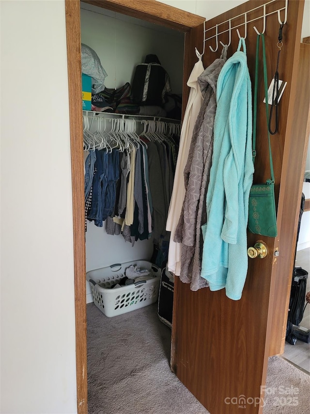 111 Crystal Creek Dr, China Grove, NC 28023 - view of closet