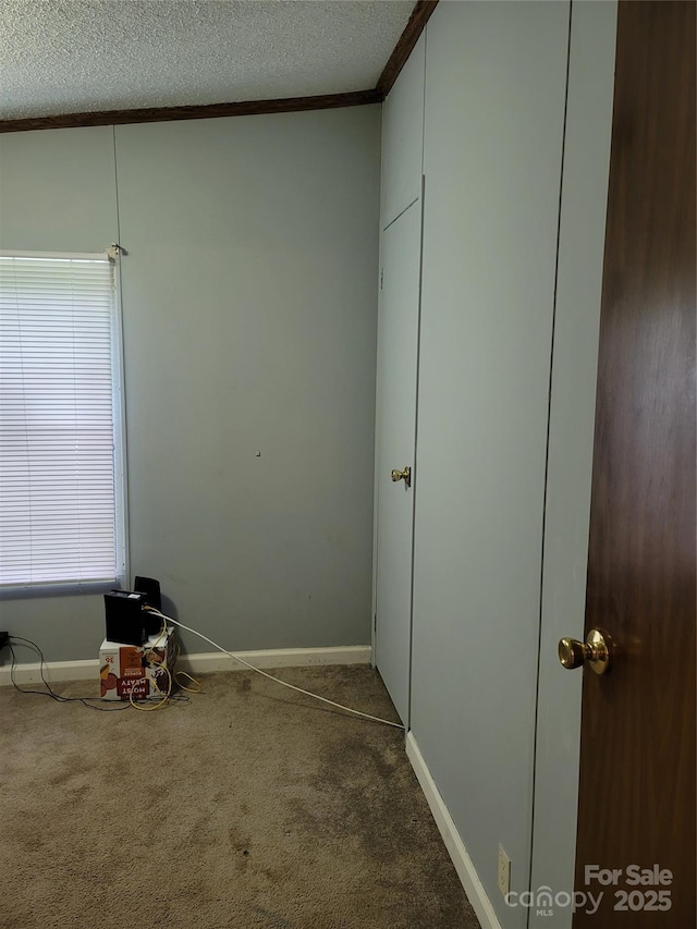 111 Crystal Creek Dr, China Grove, NC 28023 - spare room featuring carpet flooring, a textured ceiling, and crown molding