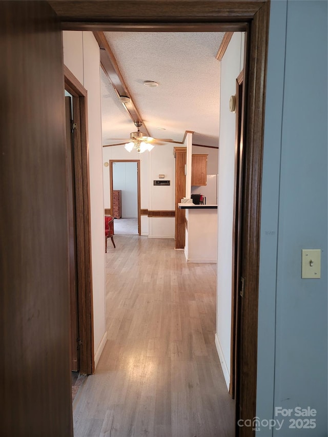 111 Crystal Creek Dr, China Grove, NC 28023 - hall with light wood-style floors and a textured ceiling