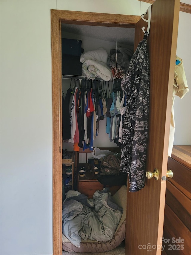 111 Crystal Creek Dr, China Grove, NC 28023 - view of closet