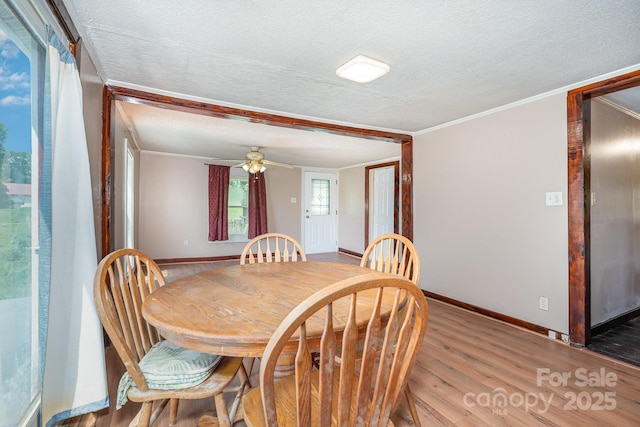 439 Neisler Rd, Concord, NC 28025 - dining area with light wood-style floors, a textured ceiling, crown molding, and a ceiling fan