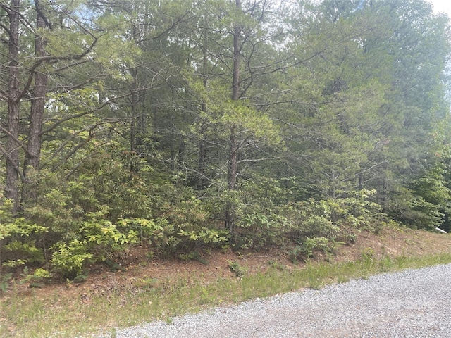 LOT38 Deer Xing, Ferguson, NC 28624