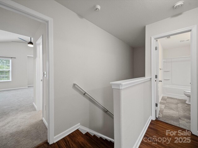 6803 Ware Rd, Charlotte, NC 28212 - photo 10