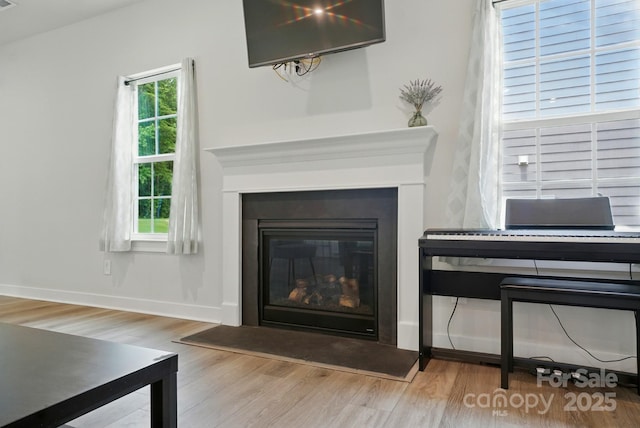 812 Dogwood Creek Ln, Indian Trail, NC 28079 - detailed view of wood finished floors and a glass covered fireplace