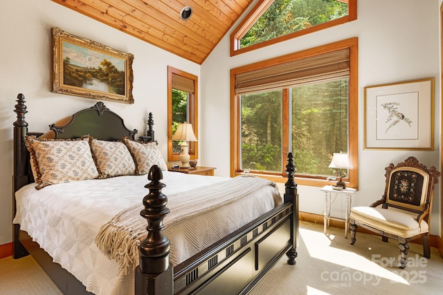 197 Cherry Knob Dr Unit 23, Mars Hill, NC 28754 - carpeted bedroom with lofted ceiling and wooden ceiling