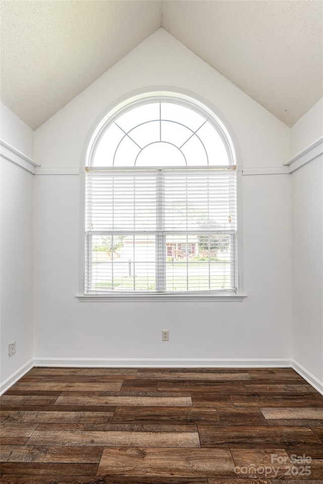 89 Woodfern Rd, Fletcher, NC 28732 - spare room featuring lofted ceiling, plenty of natural light, and dark wood-style flooring