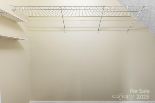 89 Woodfern Rd, Fletcher, NC 28732 - view of walk in closet