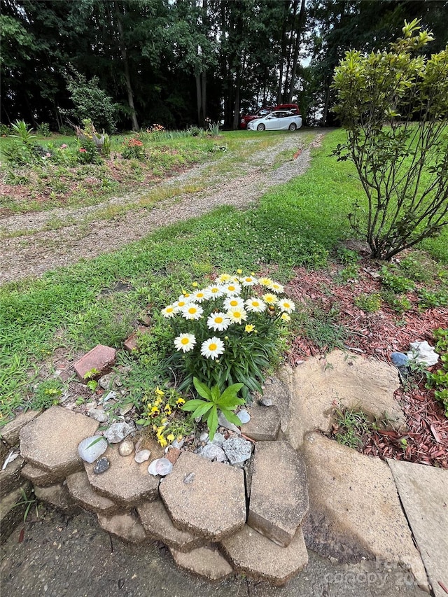 184 Winding Arbor Cir, Cleveland, NC 27013 - view of yard