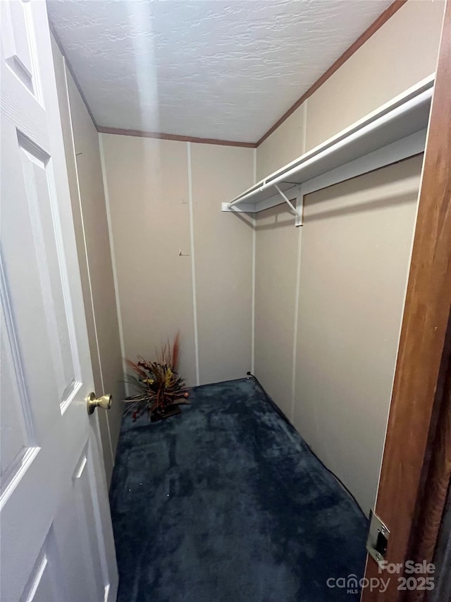 184 Winding Arbor Cir, Cleveland, NC 27013 - view of walk in closet