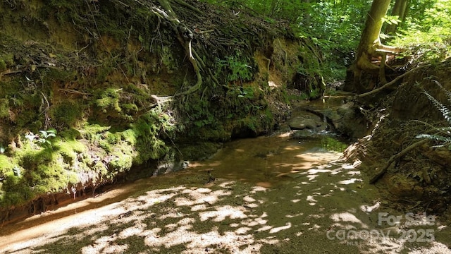 184 Winding Arbor Cir, Cleveland, NC 27013 - view of nature