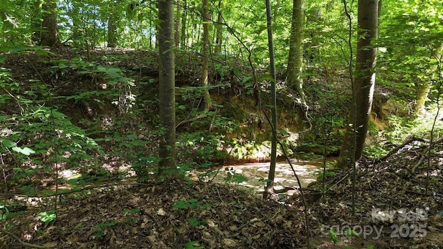 184 Winding Arbor Cir, Cleveland, NC 27013 - view of woods