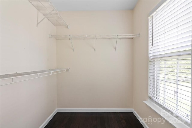 2527 Fossil Stone Ln, Fort Mill, SC 29708 - walk in closet with dark wood-style floors