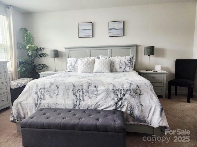 1047 Campbell Chase Ln SW, Concord, NC 28025 - view of carpeted bedroom
